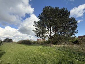 Terrain à Bâtir Nieppe Château